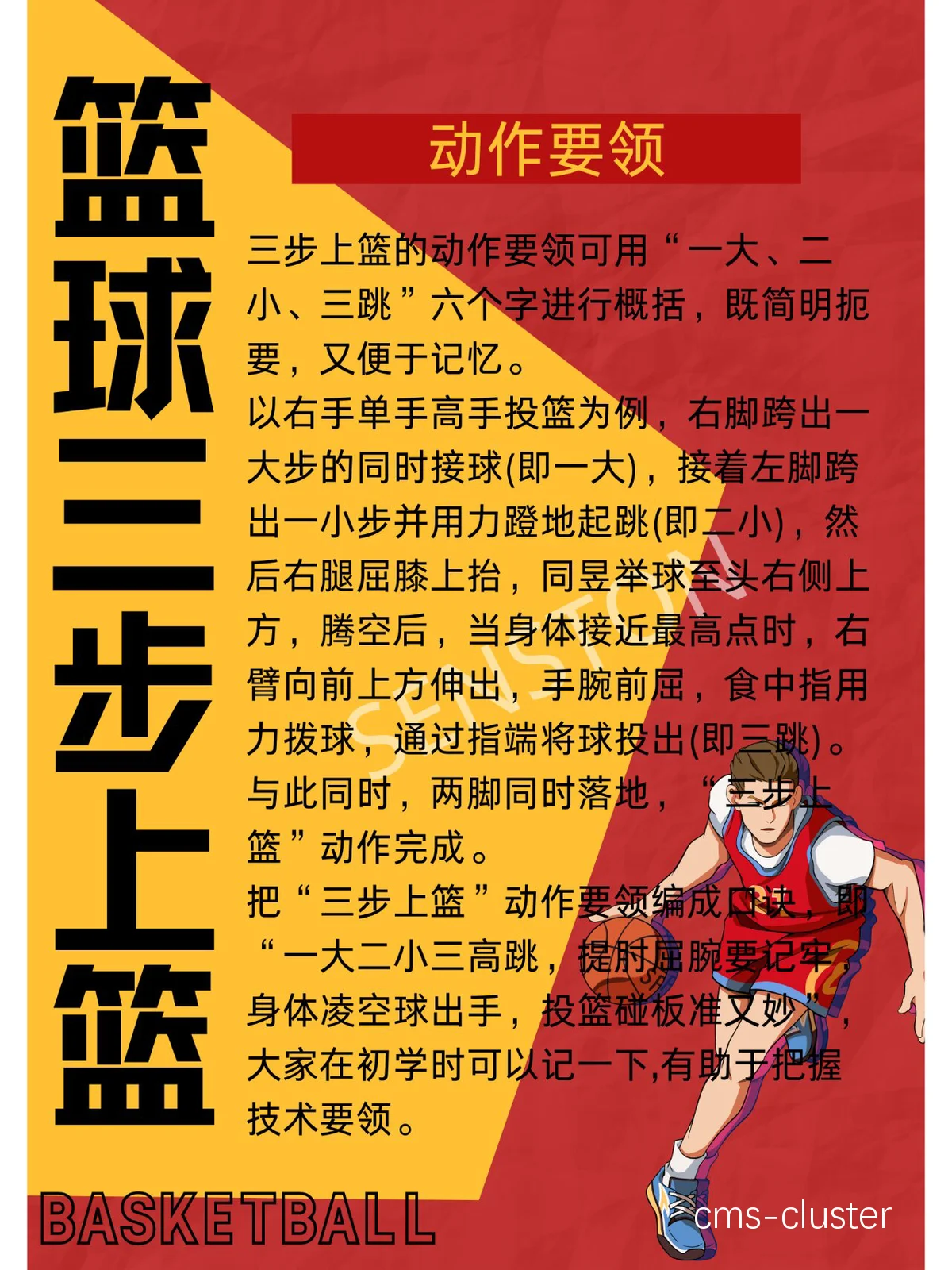 职业篮球运动员的速度训练技巧分享